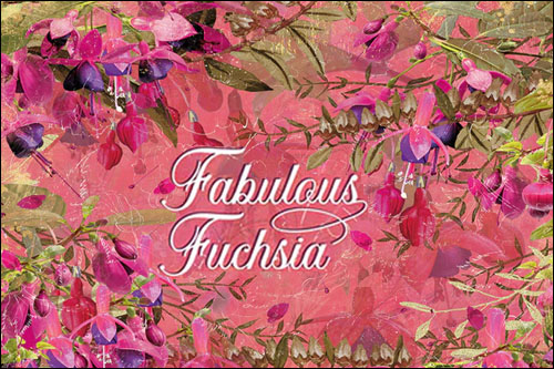 (image for) Fabulous Fuchsia