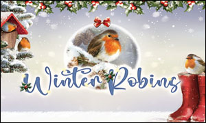 (image for) Winter Robins