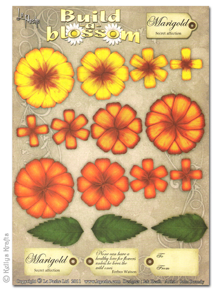 (image for) Decoupage A4 Sheet - Build A Blossom, Marigold